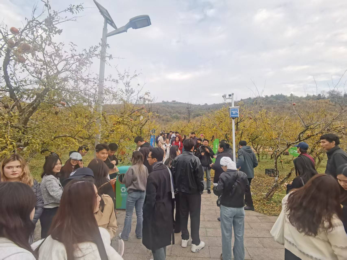 8ac66b3f0de74812845d45434fc736da.png 8ac66b3f0de74812845d45434fc736da.png