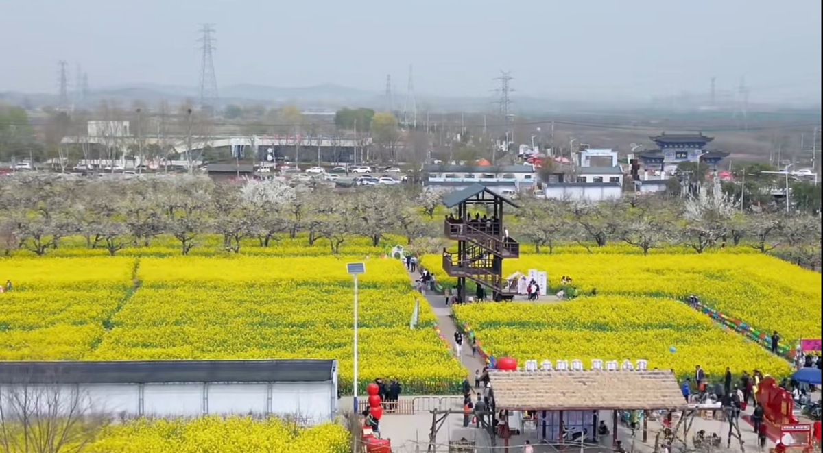 eb062ea9069440bea77a20b0cbe20114.png eb062ea9069440bea77a20b0cbe20114.png